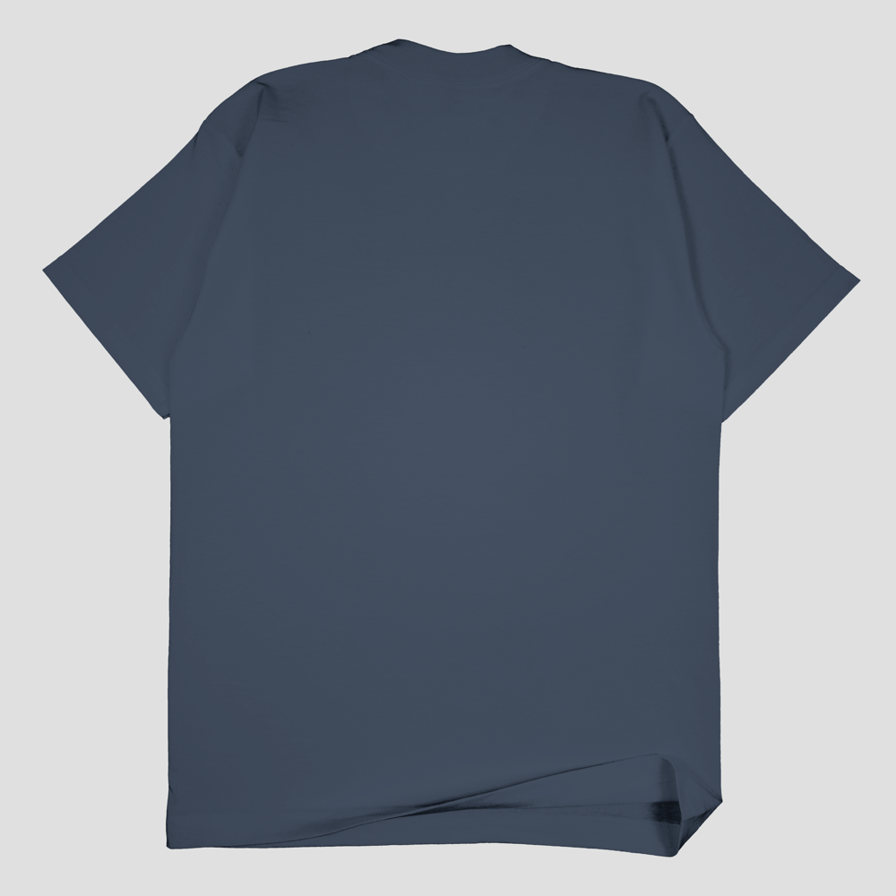 SSW Basics 920B Heavy Weight T-Shirt (more colors)