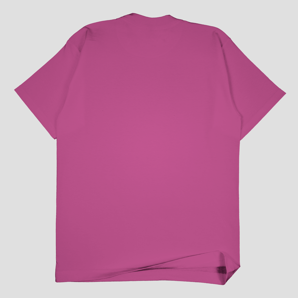 SSW Basics 920B Heavy Weight T-Shirt (more colors)