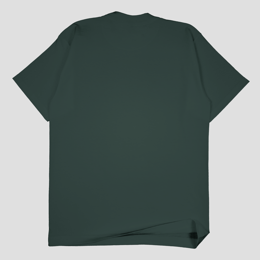 SSW Basics 920B Heavy Weight T-Shirt (more colors)