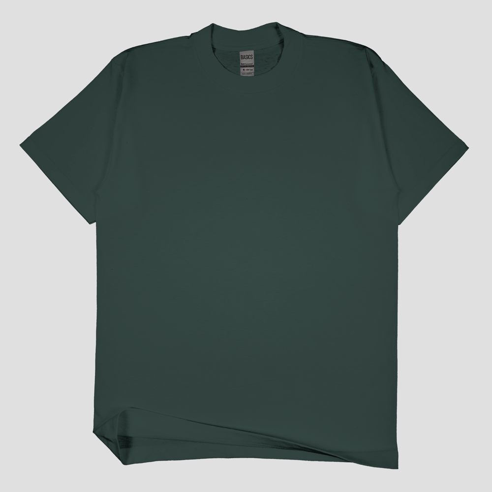 SSW Basics 920C Heavy Weight T-Shirt LARGER SIZES