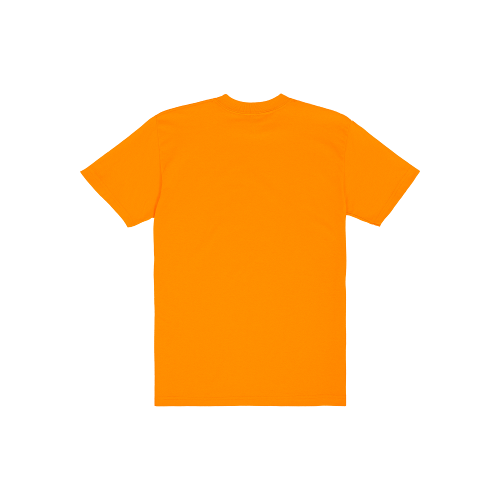 SSW Basics 920B Heavy Weight T-Shirt (more colors)