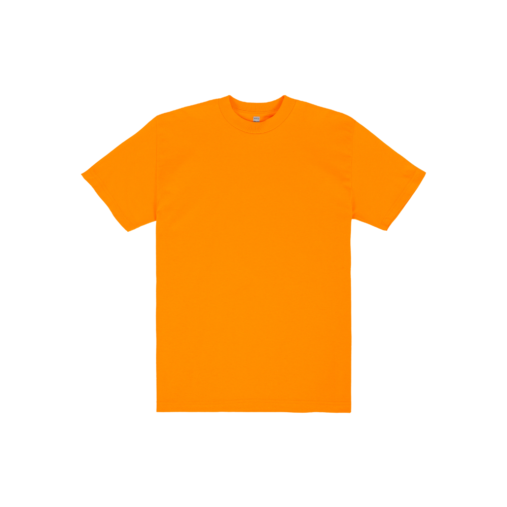 SSW Basics 920B Heavy Weight T-Shirt (more colors)