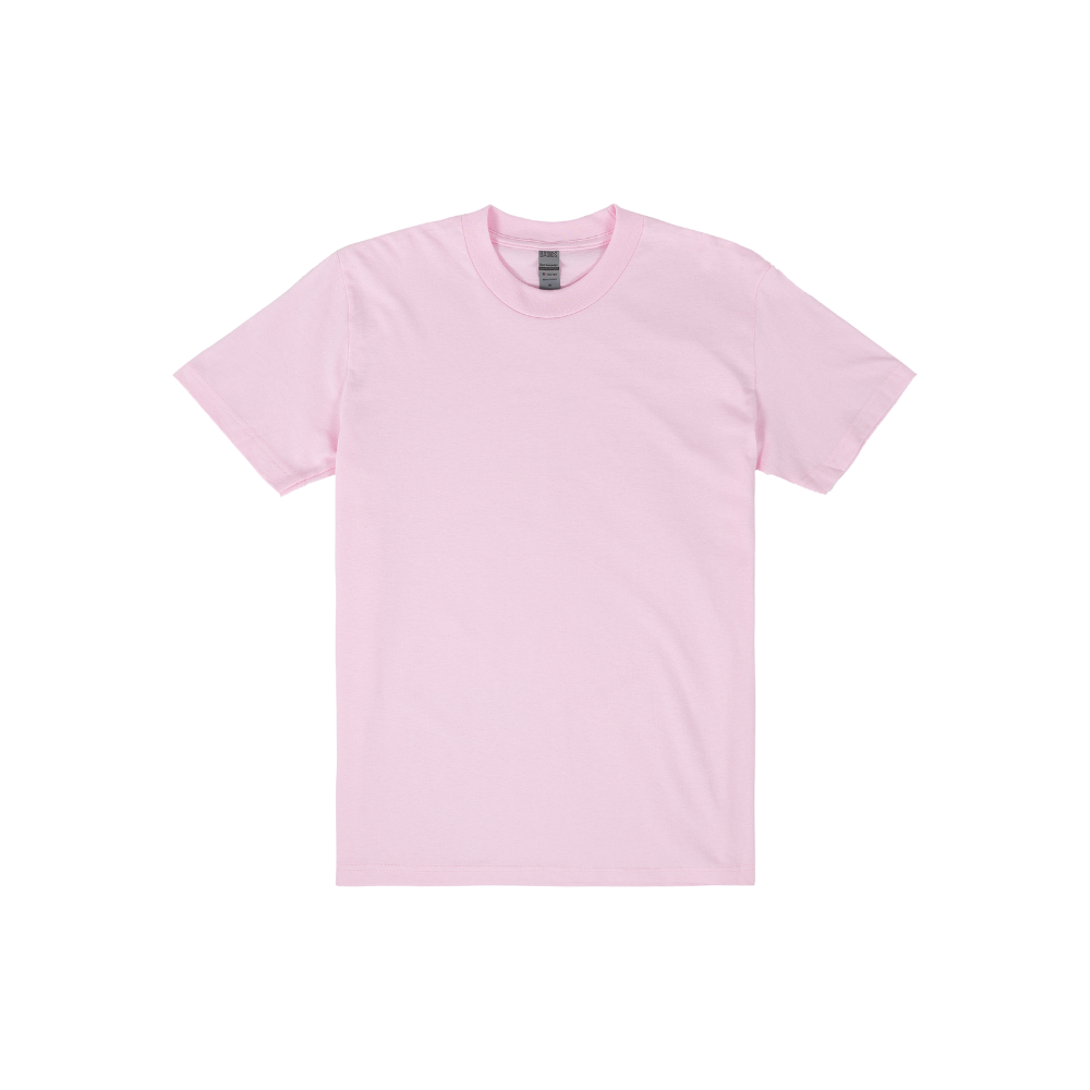 SSW Basics 920C Heavy Weight T-Shirt LARGER SIZES
