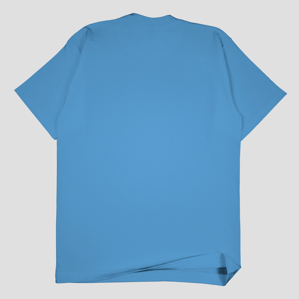 SSW Basics 920B Heavy Weight T-Shirt (more colors)
