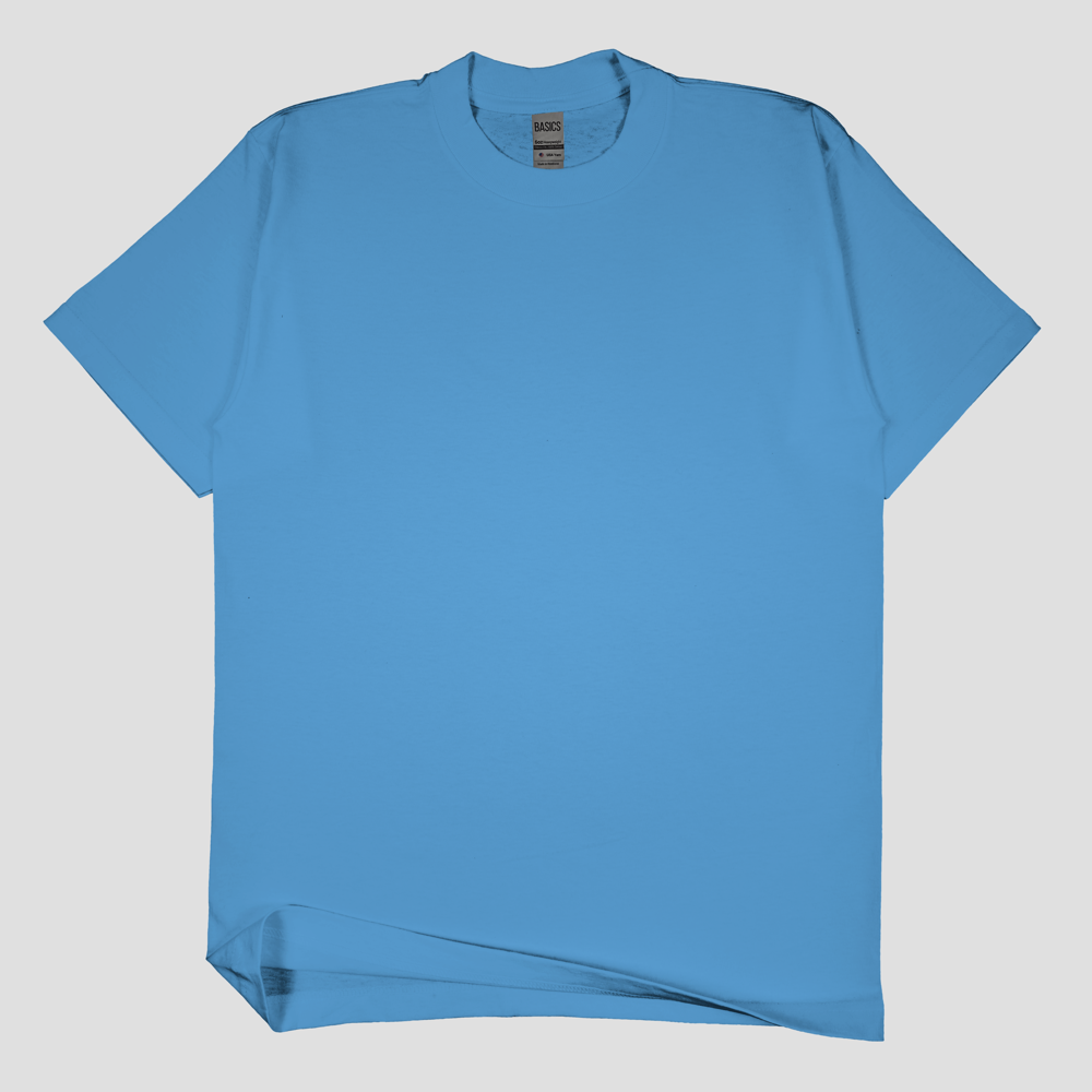 SSW Basics 920B Heavy Weight T-Shirt (more colors)