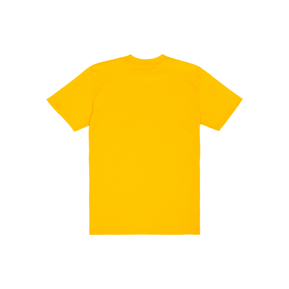 SSW Basics 920B Heavy Weight T-Shirt (more colors)
